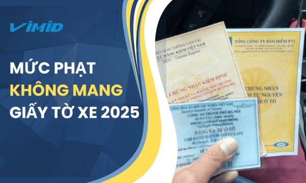 Lỗi Không Mang Giấy Tờ Xe: Mức Phạt Mới Nhất 2026 Nghị Định 168