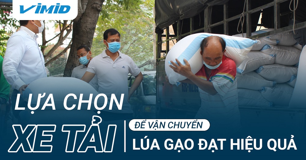 xe tải chở lúa